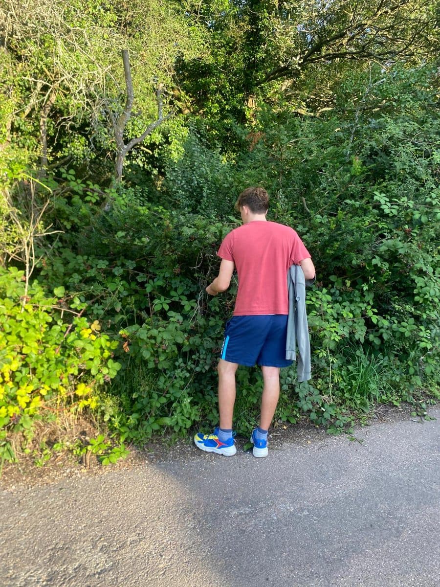 A young man in a red T-shirt reaching into a hedgerow to pick blackberries on a country lane.